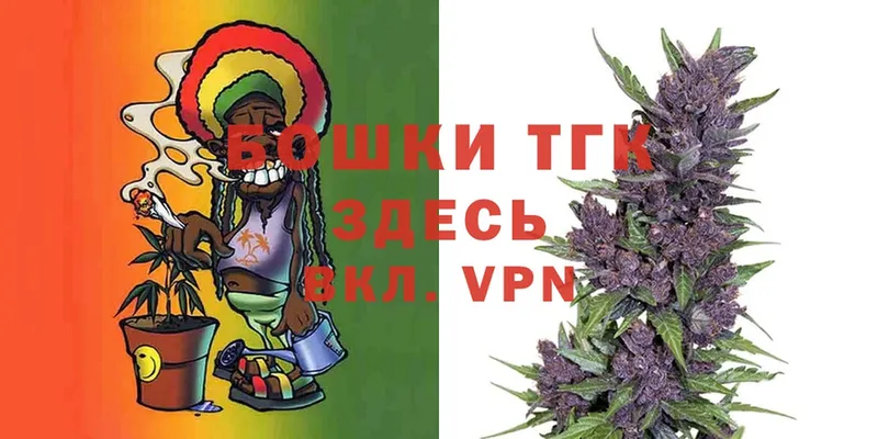 Каннабис SATIVA & INDICA  omg как зайти  Новороссийск  где найти  